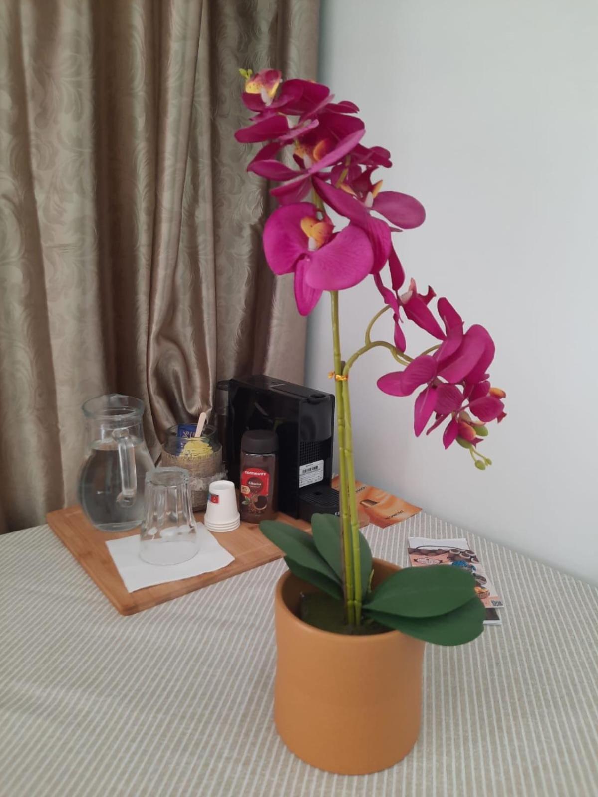 Apartmán Pedacinho Do Ceu Ponta Delgada Exteriér fotografie
